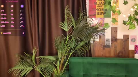 Lissa online show from 02.01.25