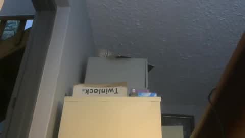 chaturbatordeluxe online show from 11.17.25