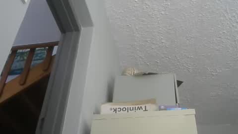 chaturbatordeluxe online show from 12.21.25