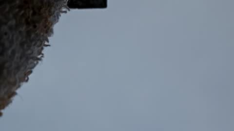 cheffydl online show from 11.09.25