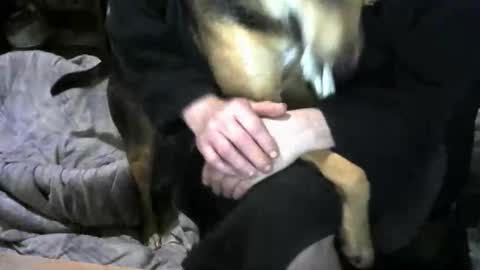 chefy online show from 02.19.26