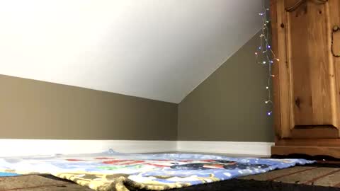 chenovich online show from 01.04.25