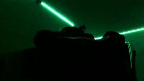 chenovich online show from 11.16.25