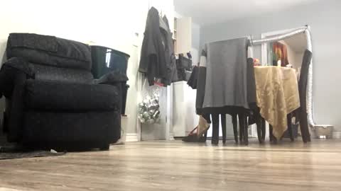 chenovich online show from 11.20.25