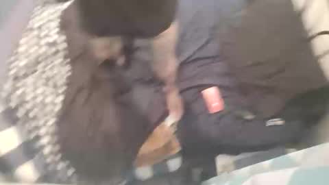 Snapshot of chev1981 chatting on 10.15.25 Chevy online show from 10.15.25