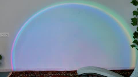 Bella online show from 02.11.26