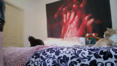 ChinaCove online show from 02.16.26