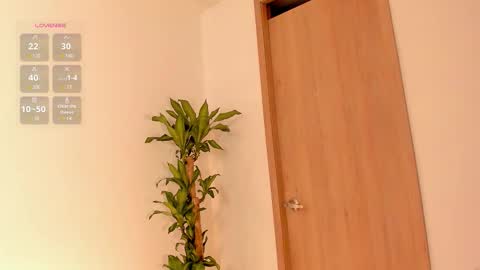    Schedule 7am to 2pm Col online show from 02.06.26