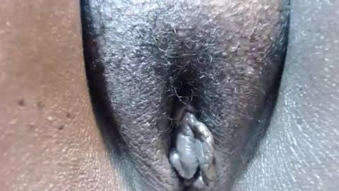 chocolatabig online show from 11.24.25