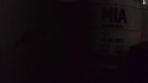 Snapshot of chrisatmiami448 chatting on 10.14.25 chrisatmiami448 online show from 10.14.25