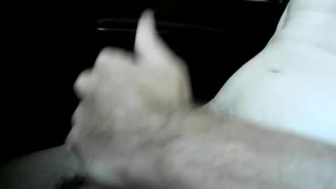 chronicallyhard247 online show from 07.14.26