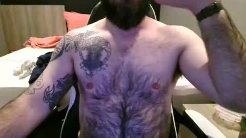 chub bear 99 online show from 07.04.26