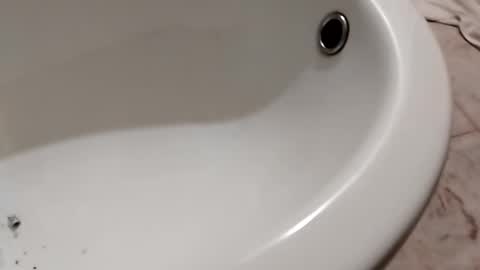 Snapshot of ciccilli chatting on 10.26.25 ciccilli online show from 10.26.25