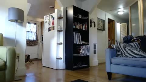 cinapw online show from 02.02.25