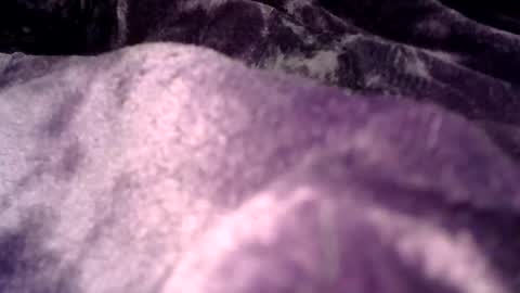 clamslamm11 online show from 10.25.25