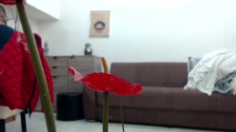 Deea xxx online show from 12.22.24