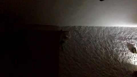 claudi779 online show from 01.11.26