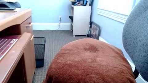 Closetbicd online show from 04.01.26