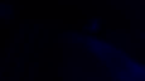 Cocolino  online show from 05.07.26