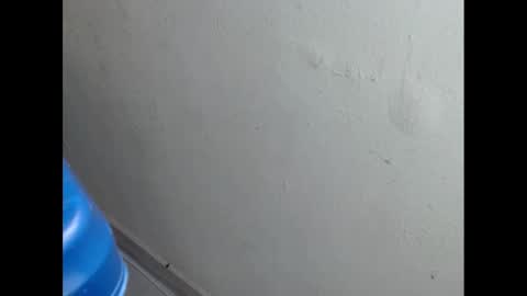 Snapshot of cockfanx chatting on 02.21.25 cockfanx online show from 02.21.25