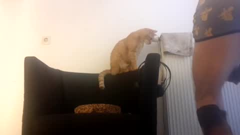 Snapshot of cockholder420 chatting on 11.23.25 cockholder420 online show from 11.23.25