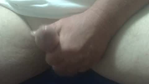 cocktoys online show from 11.08.25