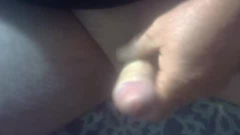 cocktoys online show from 11.11.25