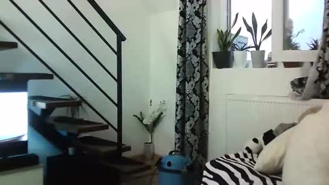 collegegymbro online show from 03.08.25