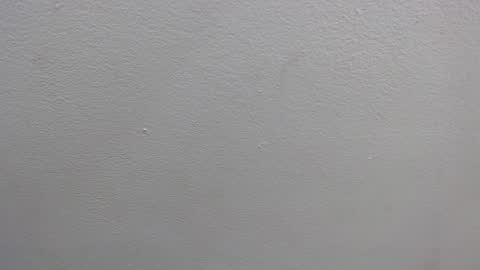  GRETCHEN  online show from 01.16.25