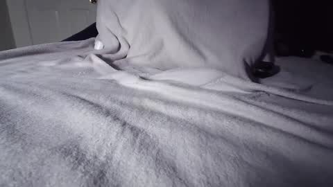 completomuscular online show from 10.01.25