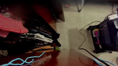 CONNY online show from 02.22.26