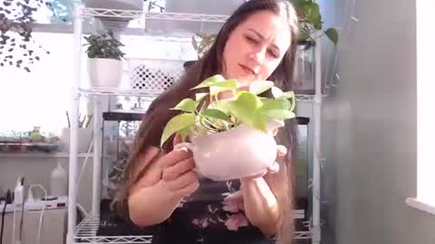 ANR Mommy online show from 10.04.25