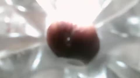 bearded hairy pits big brown cock online show from 12.07.24