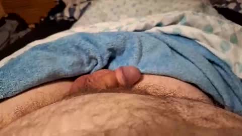 Harry 13 online show from 02.28.26