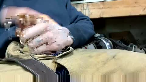 copart84 online show from 12.28.24