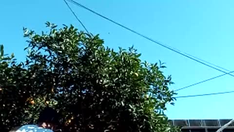 Snapshot of corpusrichard78 chatting on 03.03.25 corpusrichard78 online show from 03.03.25