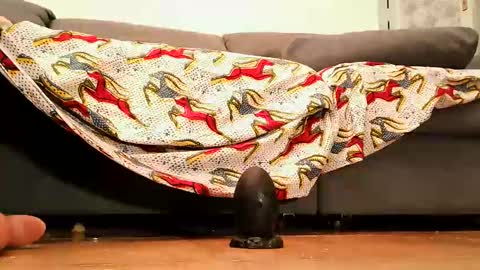 Andy sissy room online show from 09.26.25