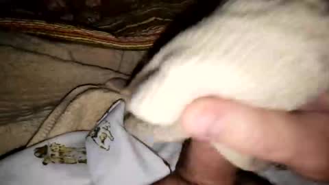 countdownsub online show from 03.08.26