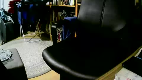 coyote017 online show from 01.07.25