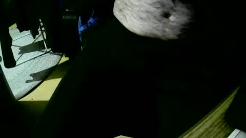 coyote017 online show from 10.22.25