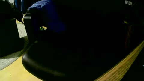 coyote017 online show from 11.01.25