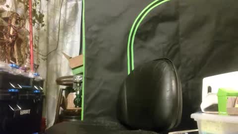 Snapshot of crackback_kyd chatting on 02.14.26 crackback_kyd online show from 02.14.26