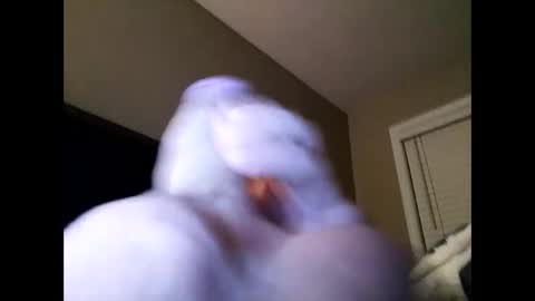 Cranada777 online show from 02.24.25