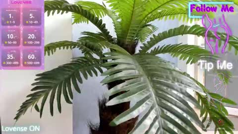 Snapshot of crazy_muscle chatting on 11.10.25 tattoodoll online show from 11.10.25