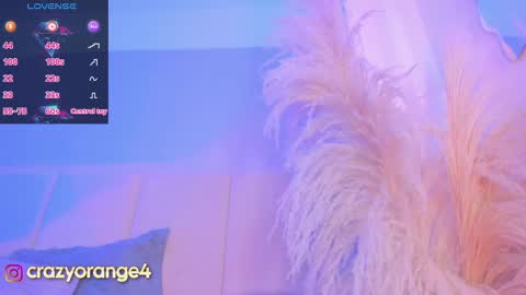 You can ask online show from 03.04.25