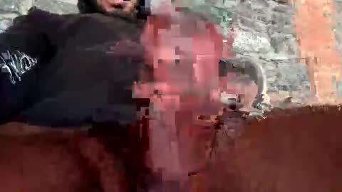 Crazyzac11 online show from 03.11.25