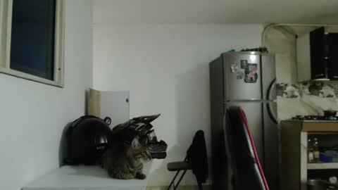 criscamiloo online show from 06.28.26