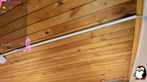 Cristal online show from 02.10.26