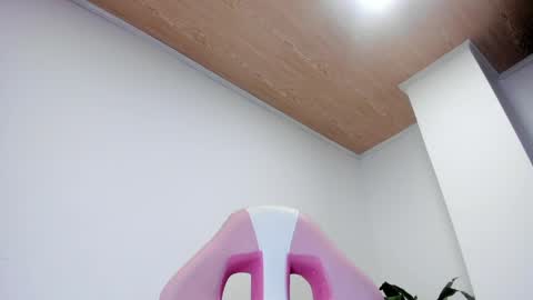 sofia online show from 03.31.26