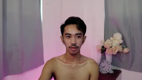 crocodale online show from 10.12.25